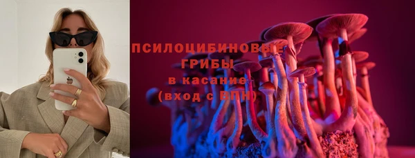 винт Касимов