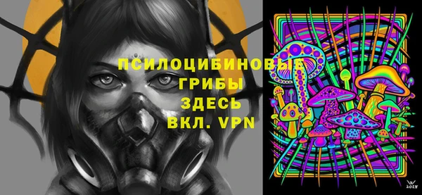 спиды Карпинск