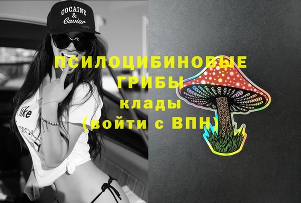 спиды Карпинск