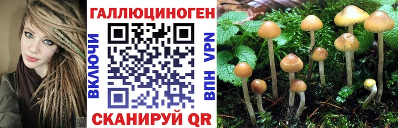Галлюциногенные грибы Cubensis  Купить где  Гдов 