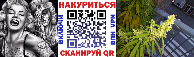 Купить закладки  Гдов  Шишки марихуана MAZAR 